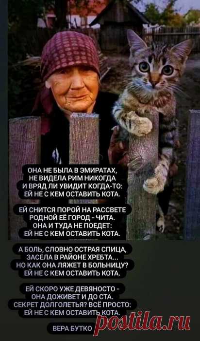 Мне не с кем оставить кота