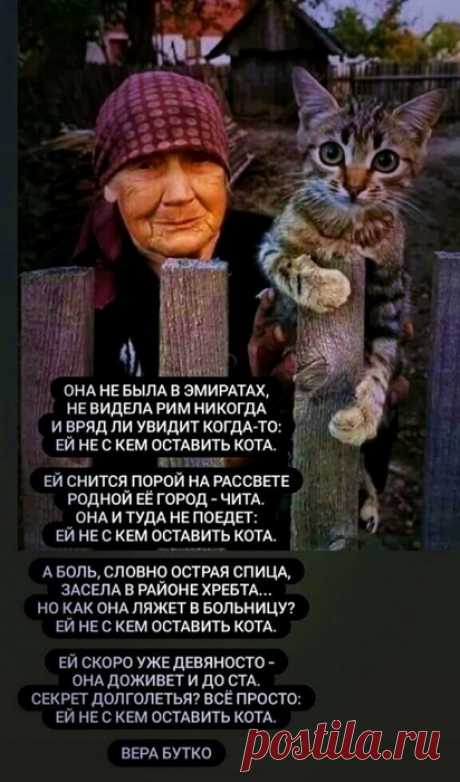 Мне не с кем оставить кота