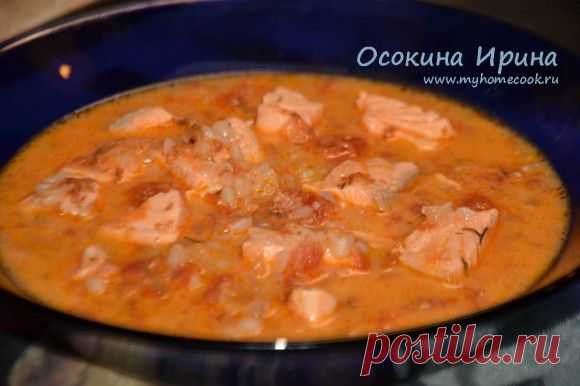 Сырный супчик с сёмгой и гречкой