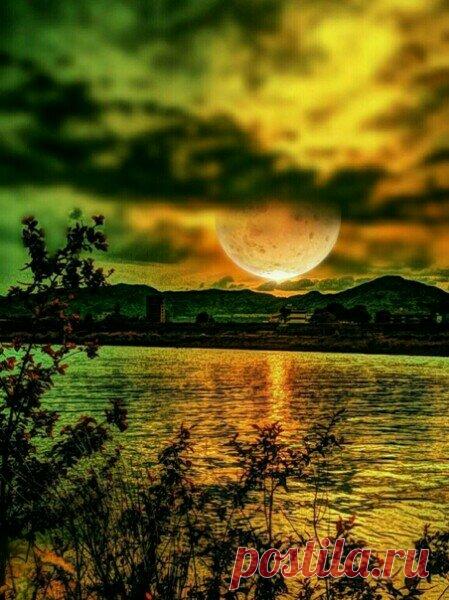 Почему тоскливо?
отчего грустим?
ночью так красиво,
Не вечен карантин)))