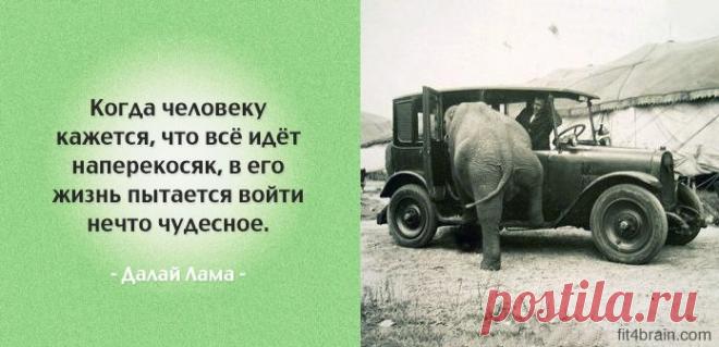 Одной фразой