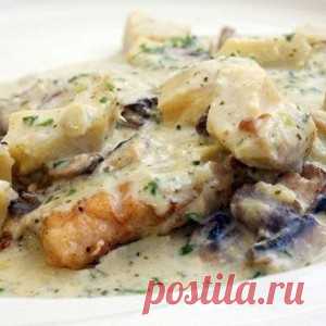 Фрикасе из курицы со сморчками рецепт – основные блюда