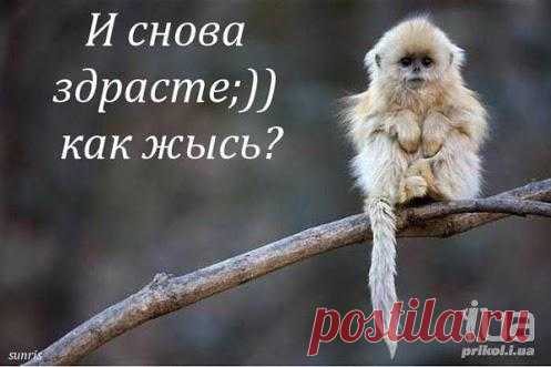как же мне было плохо