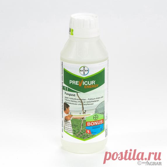 myAGRAR Onlineshop | Previcur  Energy 1 l | online kaufen  Previcur Energy ist ein Fungizid zur Bekämpfung von Auflaufkrankheiten
- Pythium-Arten und Falsche Mehltau-Pilze an verschiedenen
Gemüsekulturen und Zierpflanzen.