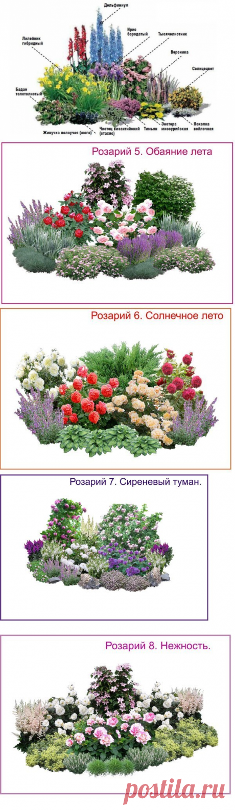 СОЗДАЙТЕ ЦВЕТНИК НЕПРЕРЫВНОГО ЦВЕТЕНИЯ