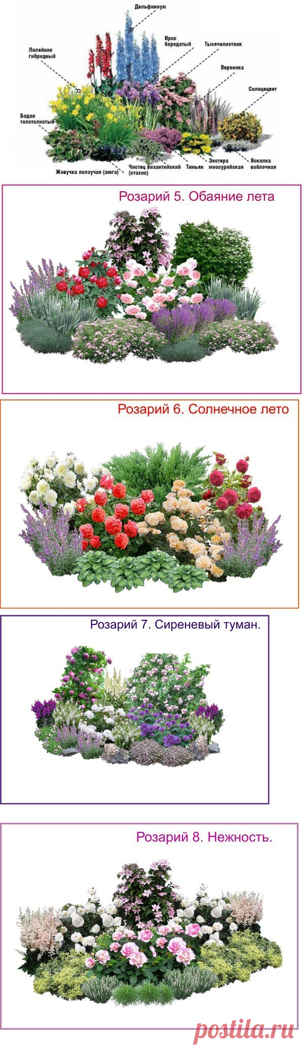 СОЗДАЙТЕ ЦВЕТНИК НЕПРЕРЫВНОГО ЦВЕТЕНИЯ