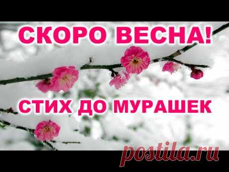 ОЧЕНЬ ТРОГАТЕЛЬНЫЙ СТИХ! С ДОБРЫМ УТРОМ! ДОБРОЕ УТРЕЧКО ХОРОШЕГО ДНЯ!