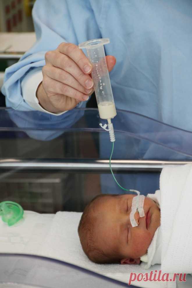 #лечение_в_Германии Лечение протеинопатии у новорожденных в Германии