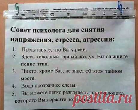 Анна Думанская