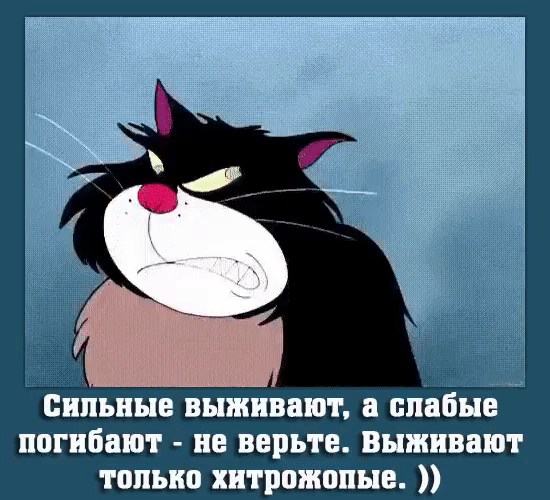 Так и есть!