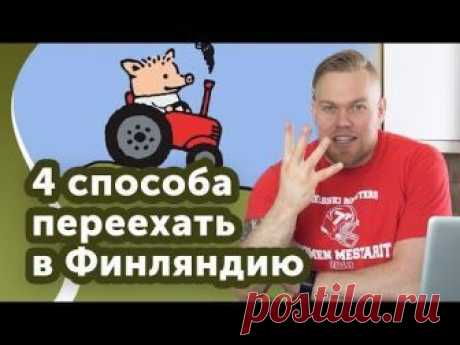 Как переехать в Финляндию на ПМЖ? 4 способа как это сделать!