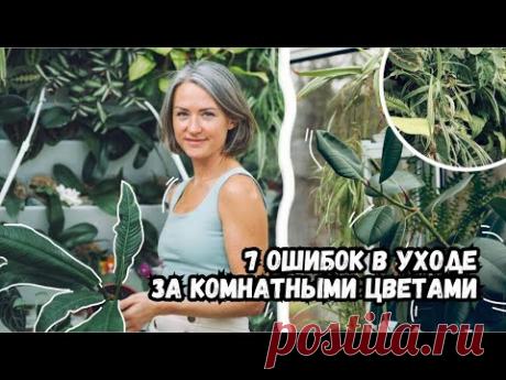 Проблемы с комнатными цветами - 7 самых частых ошибок | Секреты в уходе за комнатными растениями