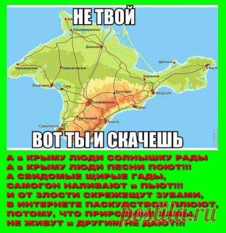 Реакция черкасского форума на отключения электроэнергии. | Повидло