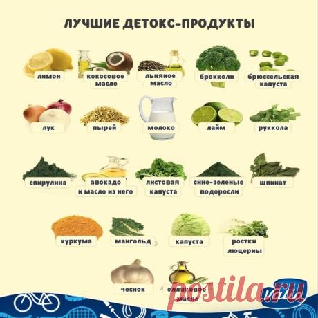 . Ешьте органические продукты,: 20 тыс изображений найдено в Яндекс.Картинках