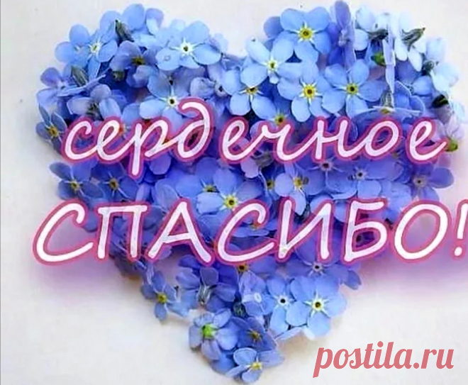 Сердечное спасибо!