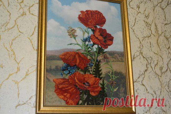 (4) Одноклассники