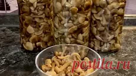 Вкусные маринованные опята на зиму