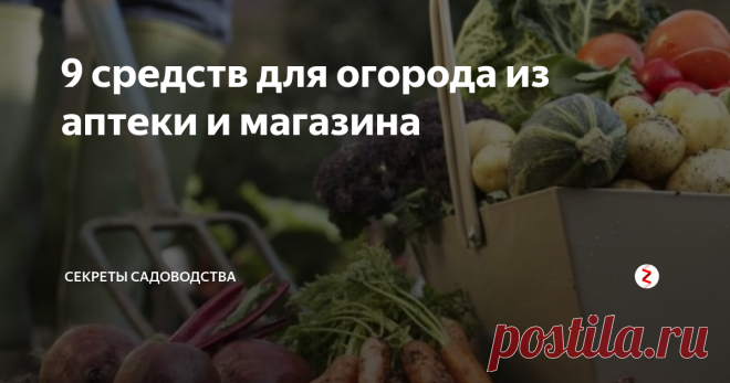 9 средств для огорода из аптеки и магазина Не обязательно покупать специальные химикаты, чтобы заботиться о растениях на даче или огороде. И будущем урожае. В статье — 9 народных средств, которые выполняют задачи химических удобрений, инсектицидов и лечебных препаратов. Среди достоинств:
экологическая безопасность;
их можно купить в любой аптеке и магазине;
доступная цена: стоимость, как правило, меньше 100 рублей.