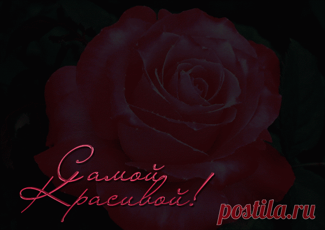 Для тебя! - Повседневная анимация - Анимация - SuperGif