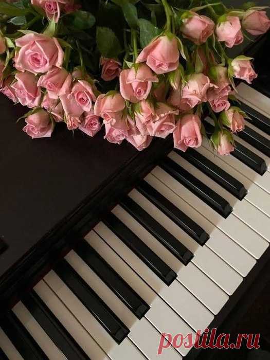 Мысли вслух... 💕🌟🎼