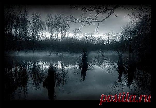 Какое счастие: и ночь, и мы одни! 
Река – как зеркало и вся блестит звездами; 
А там-то… голову закинь-ка да взгляни: 
Какая глубина и чистота над нами! 

О, называй меня безумным! Назови 
Чем хочешь; в этот миг я разумом слабею 
И в сердце чувствую такой прилив любви, 
Что не могу молчать, не стану, не умею! 

Я болен, я влюблен; но, мучась и любя – 
О слушай! О пойми! – я страсти не скрываю, 
И я хочу сказать, что я люблю тебя – 
Тебя, одну тебя люблю я и желаю! 

Афанасий Фет, 1854