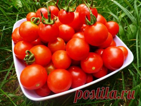 Чтобы томаты были сладкими 
Оказывается, для того, чтобы томаты были сладкими, нужно воспользоваться некоторыми простыми советами.

Например, в период активного плодоношения подкормить растение раствором соли и золы, из расчета…