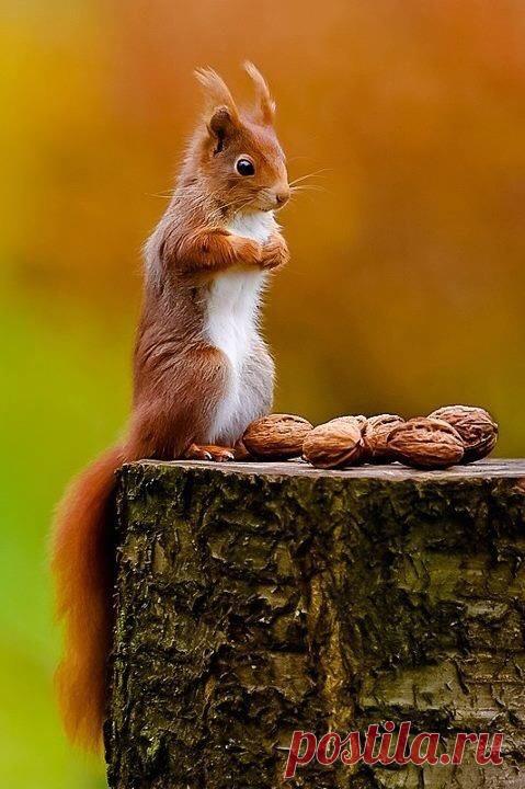 Pour Le Plaisir Des Yeux