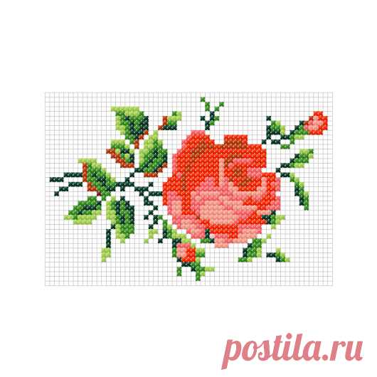 Uncategorized | punct de cruciulita