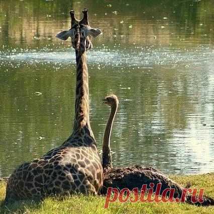 Photo by Михаил Подгорный on October 22, 2022. May be an image of nature.