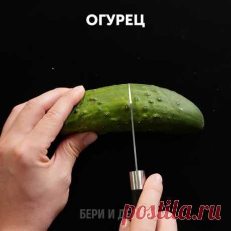 Как вырастить собственное растение