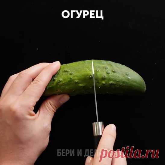 Как вырастить собственное растение