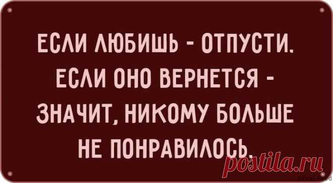 Смешные картинки, которые обязательно оценят остроумные женщины