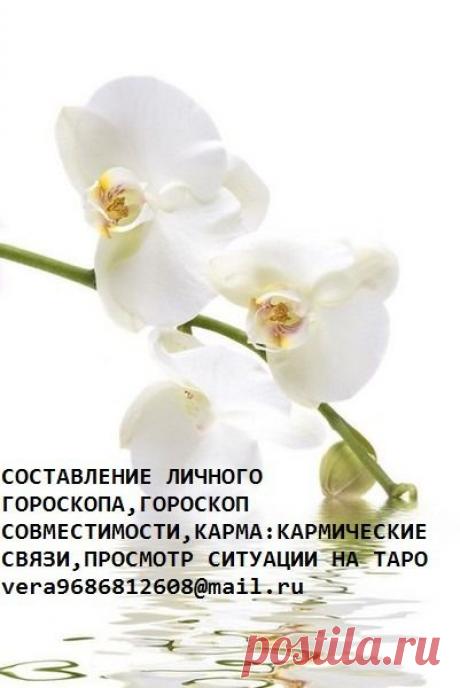 Мой Мир@Mail.Ru