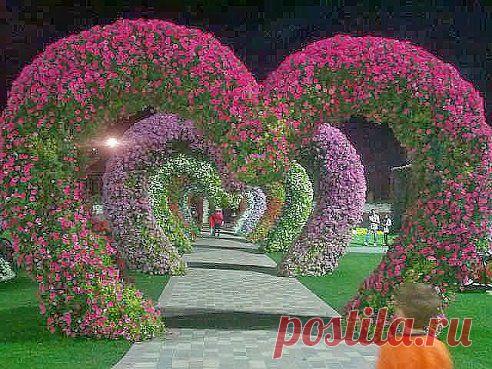 АЛЛЕЯ СЕРДЕЦ! (Объединенные Арабские Эмираты)