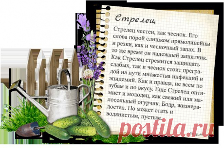 Тест. Кто ты в огороде? )).