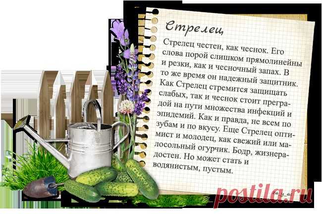 Тест. Кто ты в огороде? )).