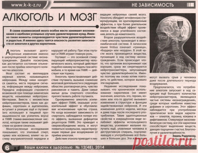 Алкоголь и мозг
