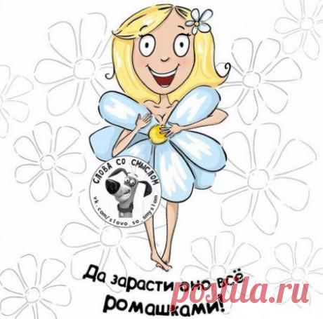 Забавные фразы, позитивные картинки... | Обхохочешься