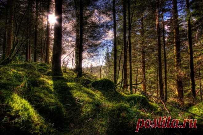 Удивительные HDR-фотографии Амунда Недланда (Amund Nedland) — Фотоискусство