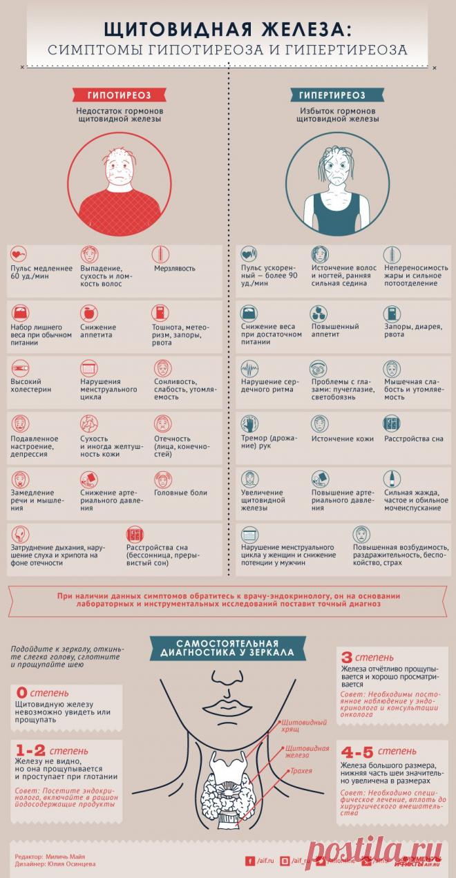 Щитовидная железа: симптомы гипотиреоза и гипертиреоза | Будьте здоровы!