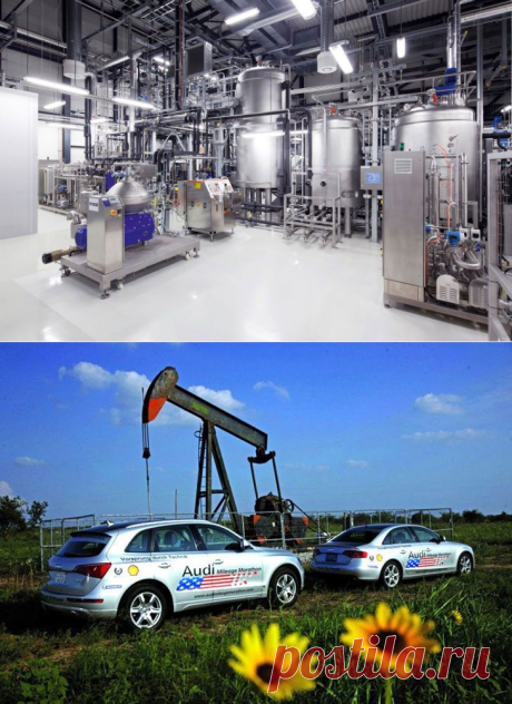 Audi и Global Bioenergies нашли замену бензину?