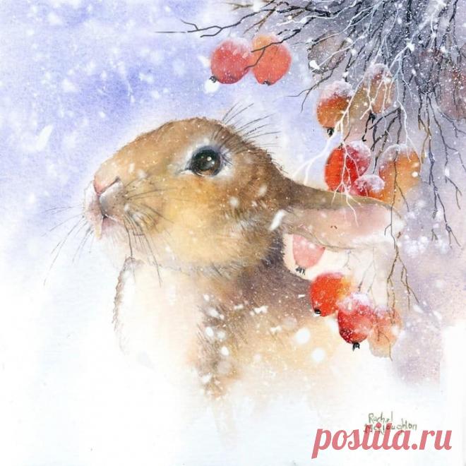 Нежные и трогательные акварели Rachel McNaughton