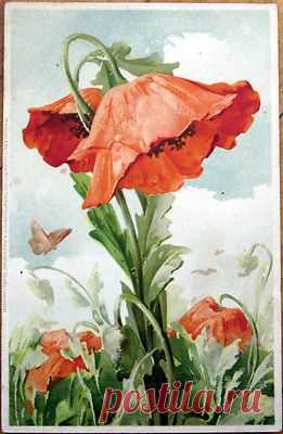 (300) Pinterest • Всемирный каталог идей