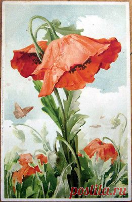 (300) Pinterest • Всемирный каталог идей