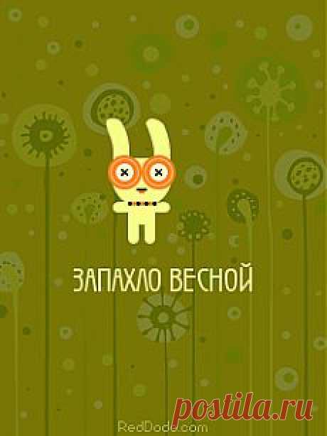 Red Dodo - Генератор анимированных баннеров, картинок. - Генераторы - Мои любимые сайты - Каталог статей - Разные разности от Милледи Малиновской