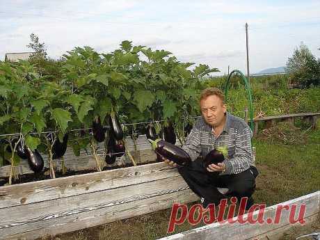(67) Одноклассники