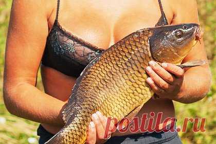 Обнаженные девушки с большой рыбой в руках сфотографировались для календаря. Немецкая фирма Carponizer выпустила новый календарь с фотографиями полуобнаженных девушек, которые держат в руках большую рыбу. В календаре, который стоит около 25 фунтов стерлингов (2,8 тысячи рублей), 12 страниц со снимками — по одной на каждый месяц 2024 года. Карпов для съемок ловили в озере Фишабиль во Франции.