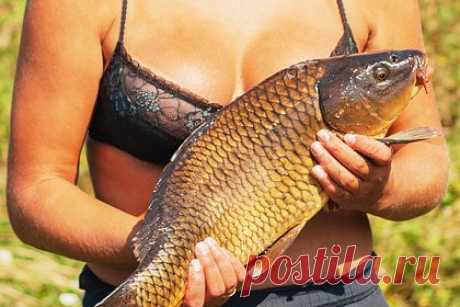 Обнаженные девушки с большой рыбой в руках сфотографировались для календаря. Немецкая фирма Carponizer выпустила новый календарь с фотографиями полуобнаженных девушек, которые держат в руках большую рыбу. В календаре, который стоит около 25 фунтов стерлингов (2,8 тысячи рублей), 12 страниц со снимками — по одной на каждый месяц 2024 года. Карпов для съемок ловили в озере Фишабиль во Франции.