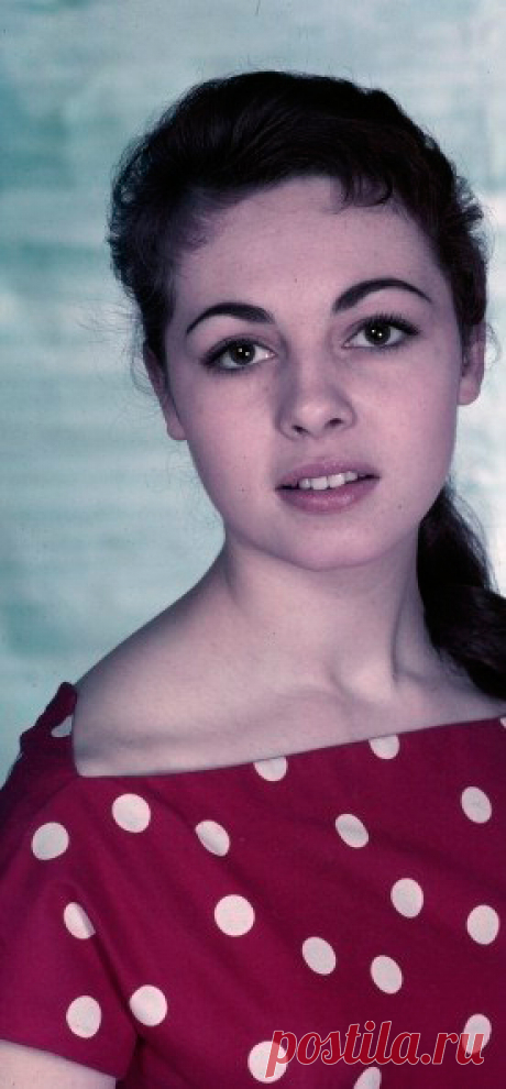 Невероятно красивая женщина, идеал женской красоты и обаяния, смотришь на нее, как на прекрасный цветок и не можешь насмотреться.

Мишель Мерсье по праву входит в десятку самых красивых женщин всех времен и народов. Сколько бы не было прекраснейших девушек в мире, таких как Мишель Мерсье больше не существует. Идеал красоты, несмотря на то, что вкусы меняются, но этот идеал остается на самом высочайшем пьедестале.