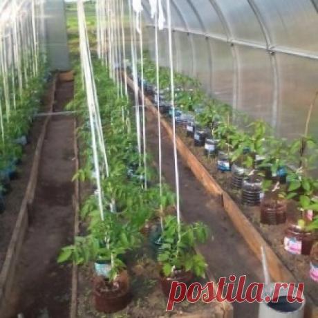 Идея для теплицы